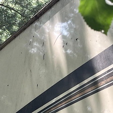 Exterior Detailing Pine View Campground Amboy, IL 17